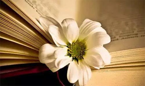 ݔ�A֮�g�����톢ʾ