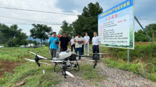 �w�F�����r�I���o�˙C����