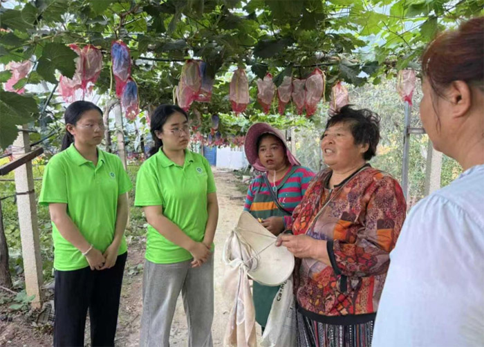 �����l���`���ģ��ഺ�����d�l��