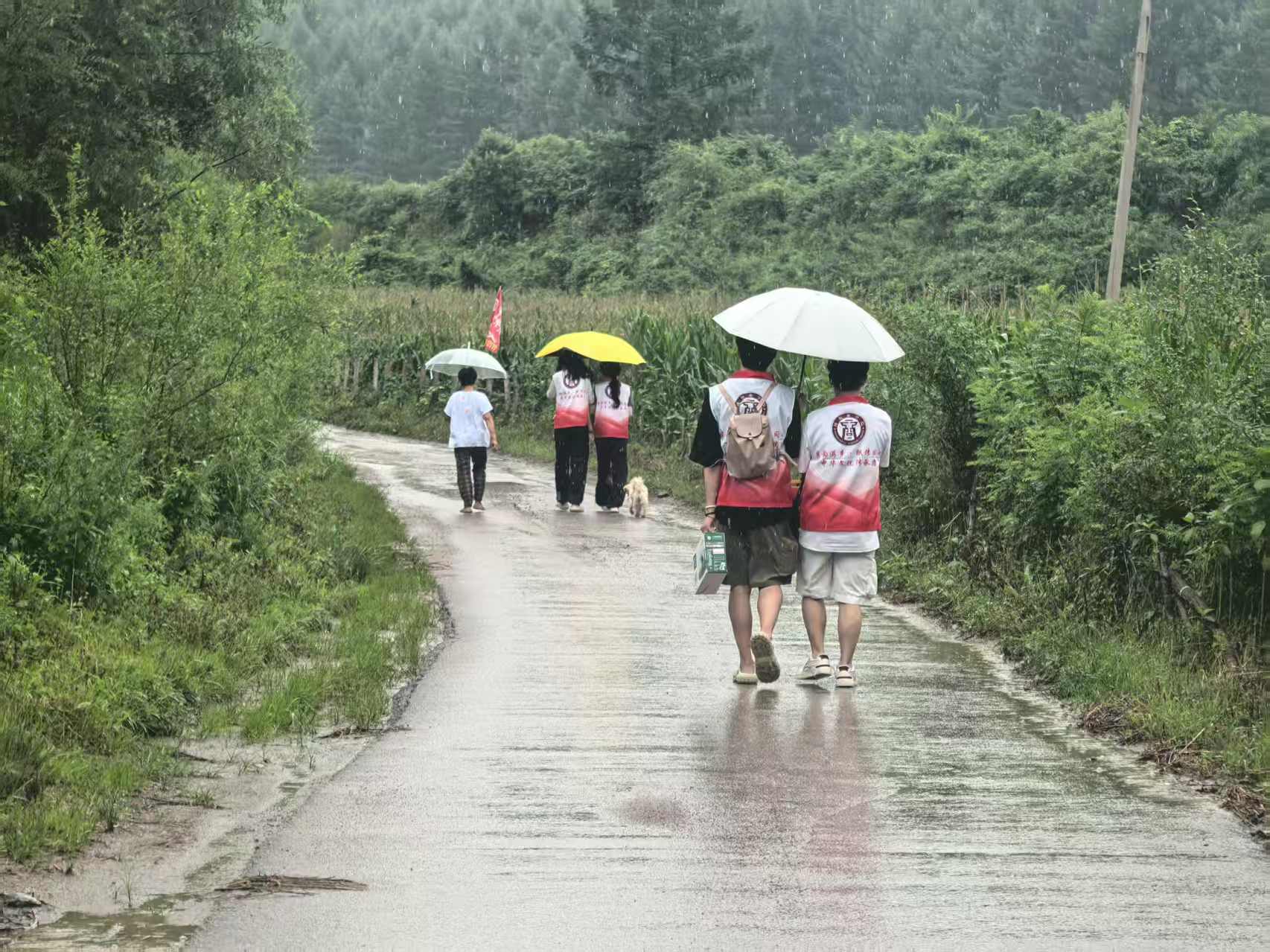 �L���̌����} �ഺ���������ꡪ����W�������l(xi��ng)��Ϫ�M������Ļ�̽�Lӛ