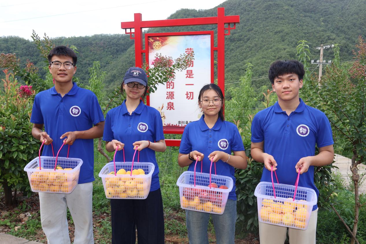 �h�����I�d������Ҋ����