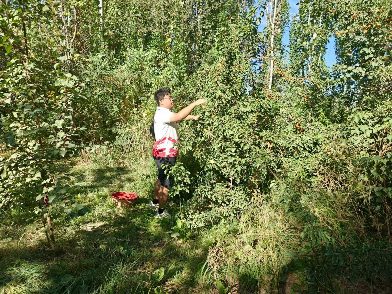 ���ഺ�����M���@���W˼�`�����r�d�������������⌍�`�F��