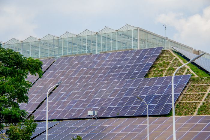 �H�W(xu��)�������l(xi��ng)�������L�l(xi��ng)�ӣ�Ӱ����顱 ���˹������c(di��n)���l(xi��ng)�����d·