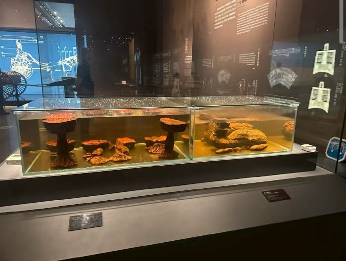 �C늌WԺ���������l��̽�؉ۿh�����^�����г���Ļ�