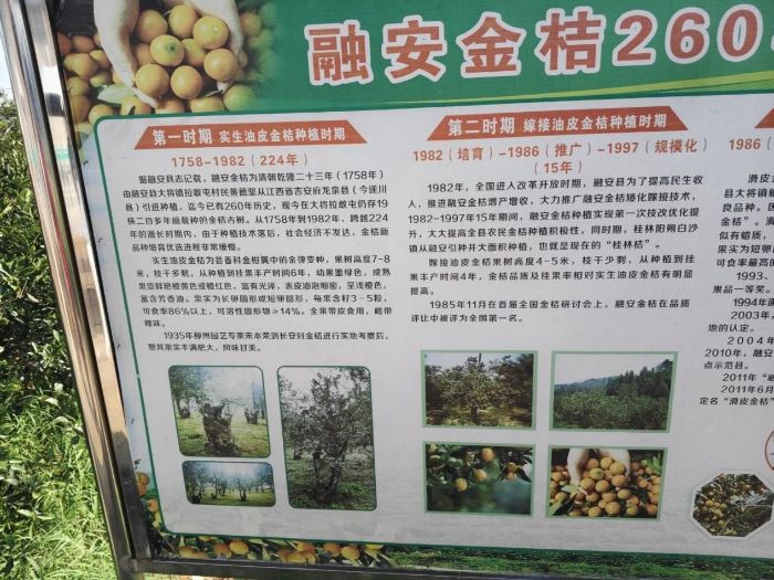 ����W�ӣ�����ڰ���ۮa�I�������l�����d������