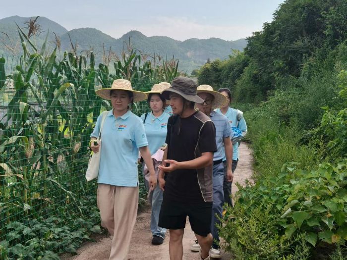 ���l(xi��ng)���������l(xi��ng)�����d  �Gɫ�r(n��ng)�I(y��)�x�ܮa(ch��n)�I(y��)��ֵ