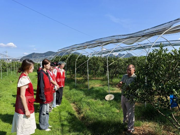 ����W�ӣ����ȫ朹��lչ���l�����d�V��ƪ