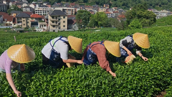 ��ؔ�W��̽���z���㣬��a�����������Ļ�