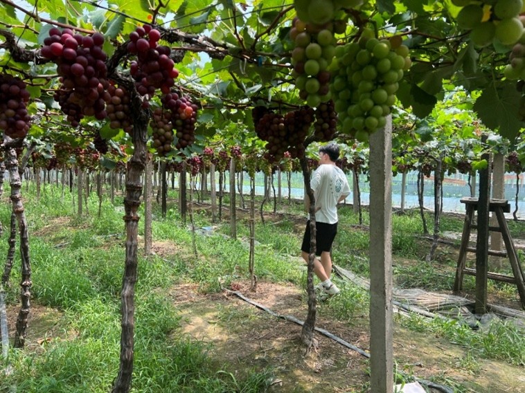 ���^���Ѯa�I�@