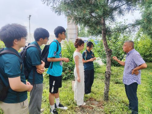 �ļt���ֵ����a��|�֌W�������l������������