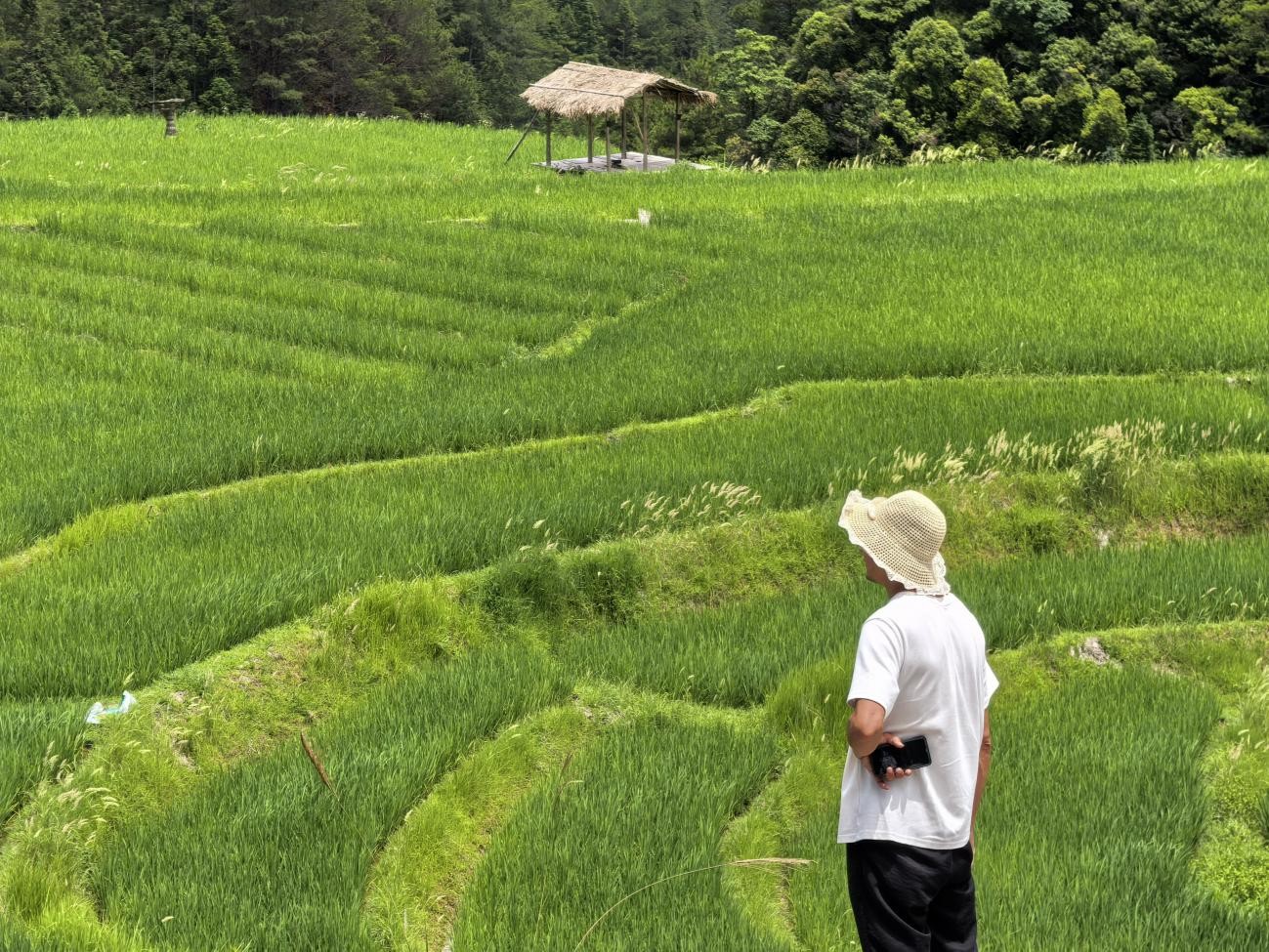 ���r�ˡ���������ϡ�һ����Ĺ������