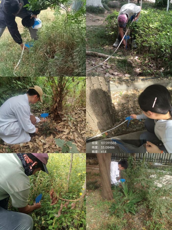 �����ذͲ�ľ �w��ɽ�ػ���