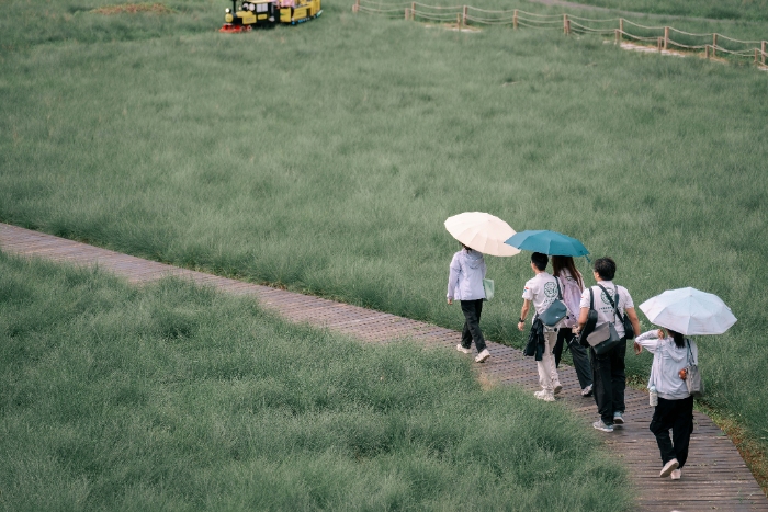 �V�����A�W��������֕�� ̽�����B�����c���ւ����ں���·��