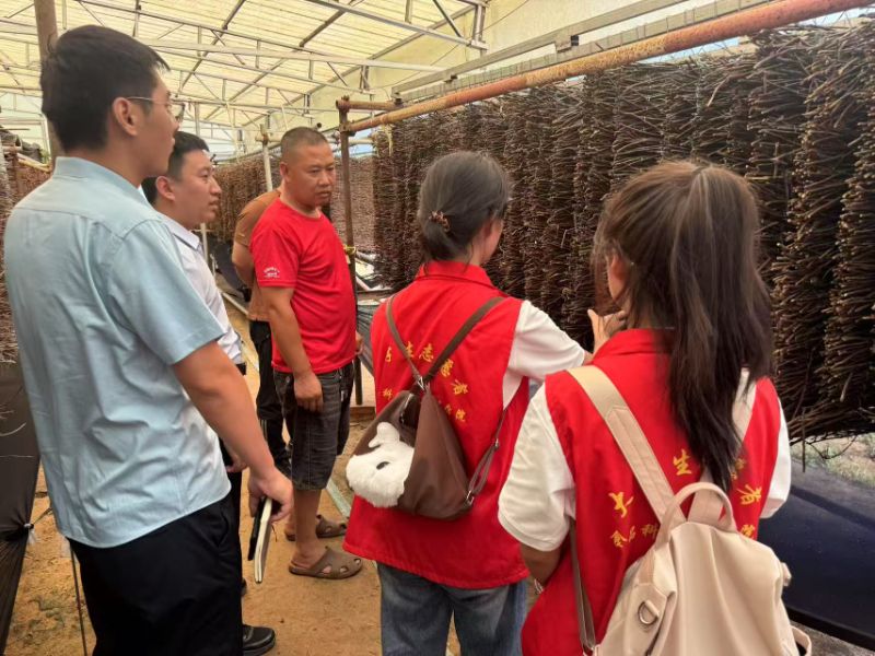 ���M�H�����ܾ���患�̽����ɫ�a�I�lչ֮·