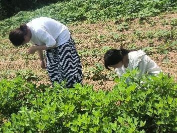 �ഺ������Ұ�g�����Ќ��`�����d��������WԺ��W�W�Ӹ�Ҧ�״��_չ�������l��������`��Ӽo��