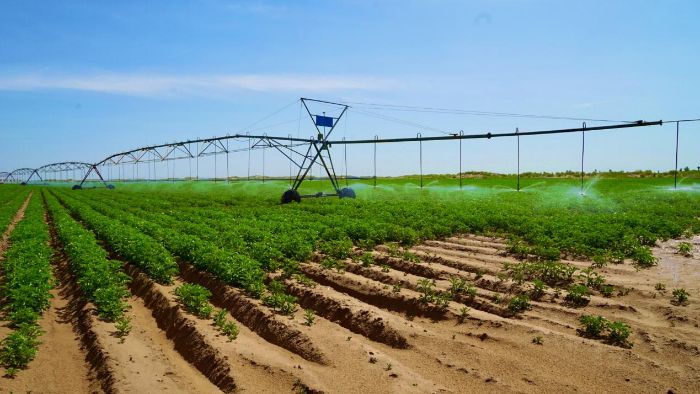 �����l(xi��ng)|����ؔ��(j��ng)��W�����������r(n��ng)���hꠣ��Ƽ��x�������a(ch��n)�I(y��)� �ഺ�����l(xi��ng)�����d