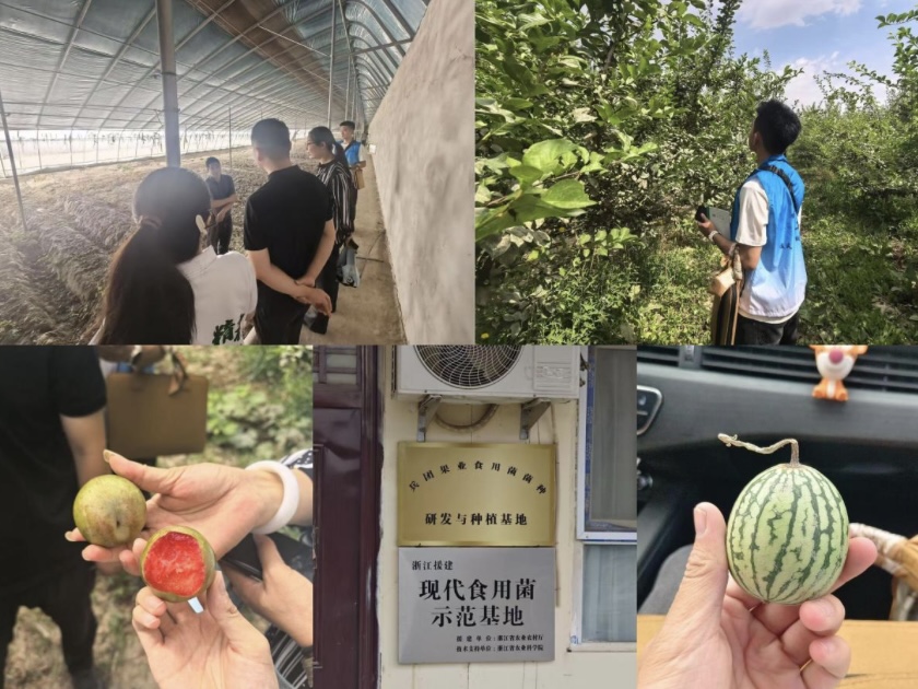 ��������A�Ļ����ЈF(tu��n)�����������Č�(sh��)�`