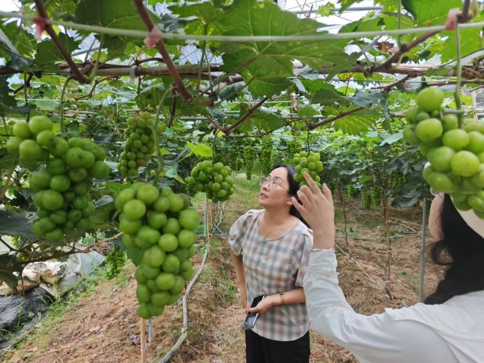 ��̼t�̌��`������M�ϣ������M۶��أ���a�l(xi��ng)�����d��˼���ܴa��