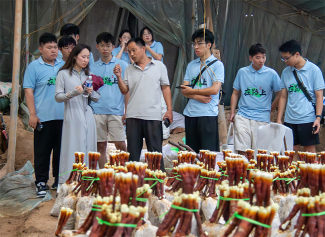 ɽ�|��ͨ�W(xu��)Ժ�_չ���r(n��ng)���`��ӣ��ഺ���`�ڿh�У������`֥�a(ch��n)�I(y��)�d