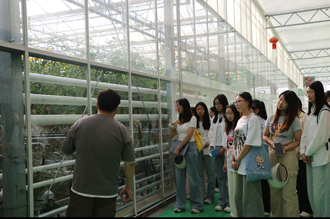 �^�����p������(qi��ng)���������f���d�塱�L�������l(xi��ng)�D��