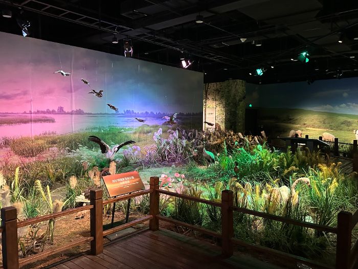 ���M�����^��̽�������L��