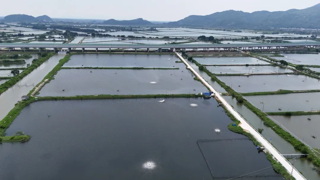 �{��ƪ|�V�ݹ��̌WԺ��Ӽt�����hꠌ�Ԓ�ɿ�ˮ�a�����L����ǧ�f���D��