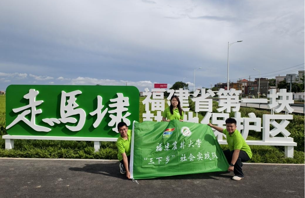 �����r(n��ng)�ִ�W(xu��)��(sh��)�`�(du��)��a���Rܤ �����r(n��ng)�ܴa��