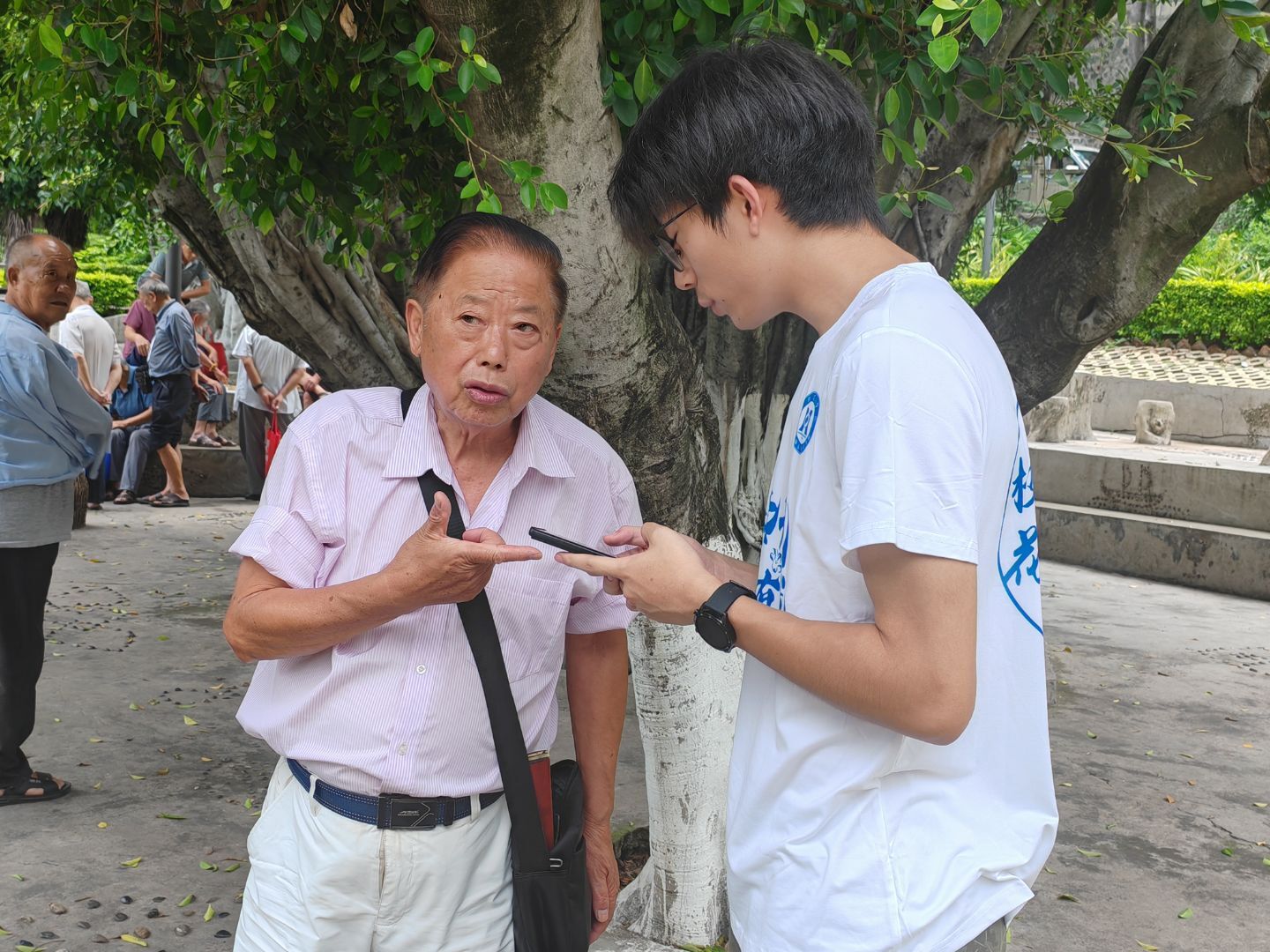 ��֦���W(xu��)Ժ�W(xu��)���{(di��o)�н�ʾ��֦�����������ԾȻ��ȼ���^(q��)֧�֬F(xi��n)��