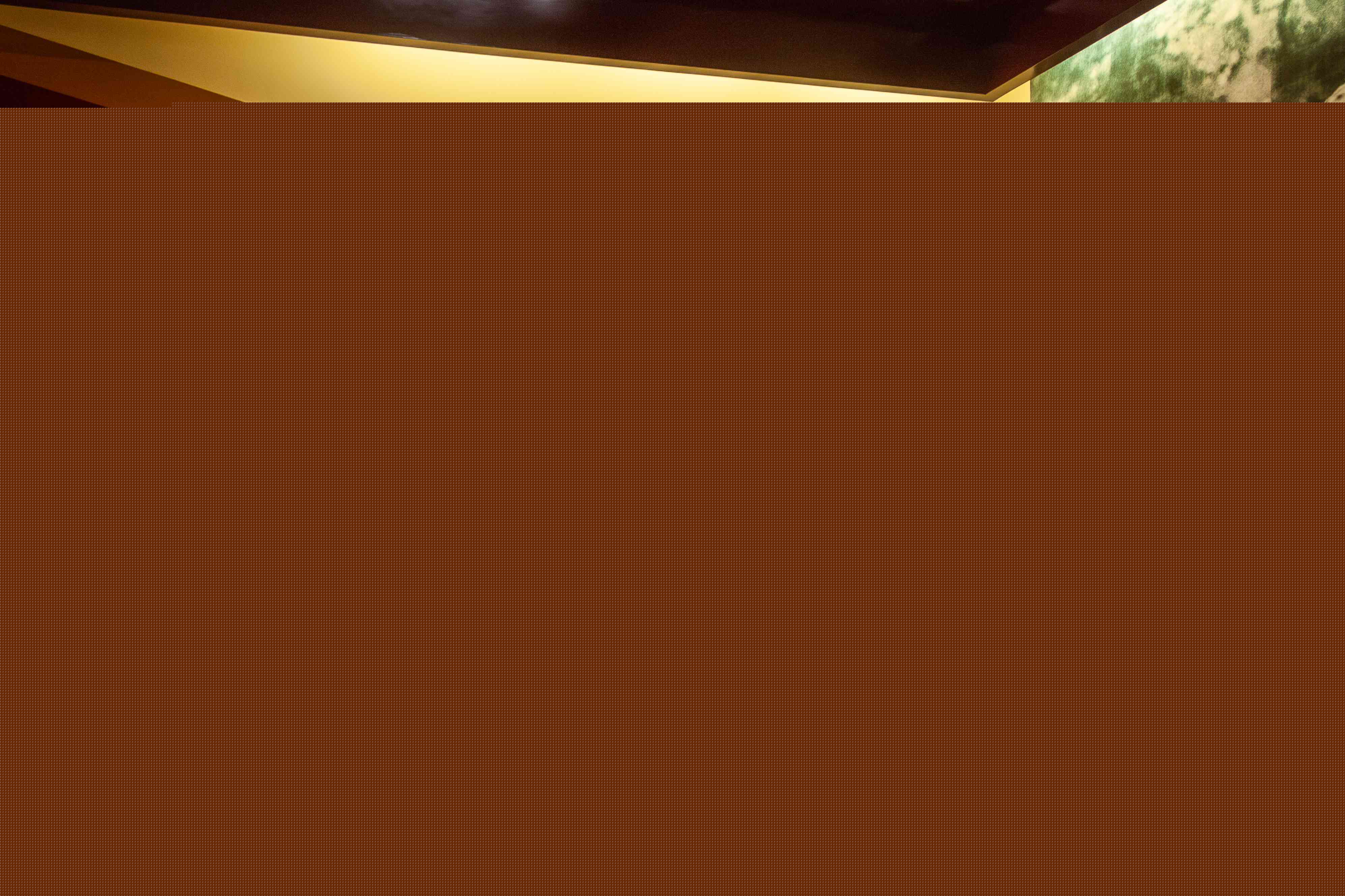 ���������l(xi��ng)|�W(xu��)�tɫ�vʷ �����Ռ�(sh��)�顪����֦���W(xu��)Ժ��ľ�ނ��Z(y��)����С�(du��)���_չ���ڌ�(sh��)�`���(d��ng)