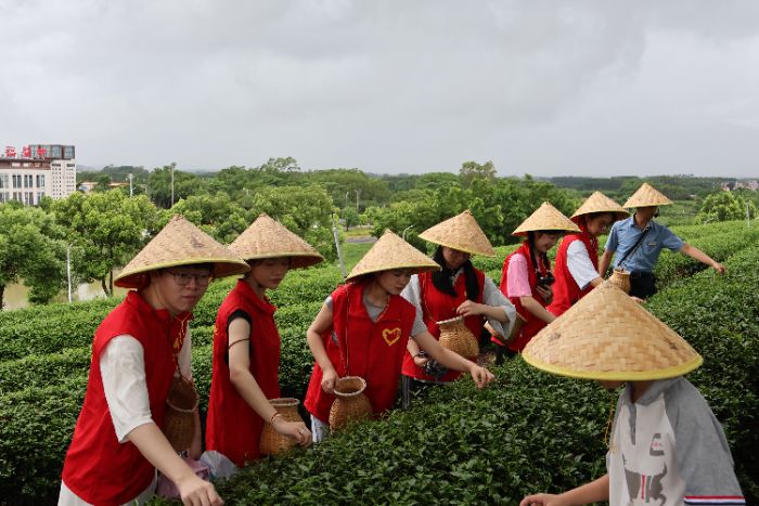 ���ݴ�W���ڡ������l�����`��䛣���@�W�������}�������L��Ԓ����