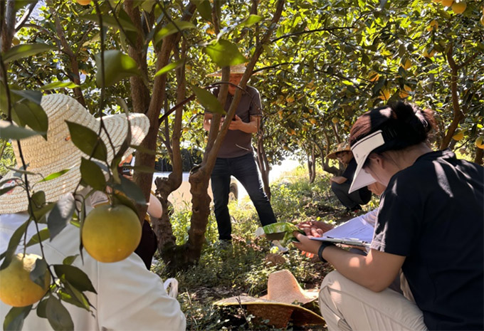 �A���r�󡰳��ĳ��⡱���`�F�������ɵؿƼ��x�ܸ���Ʒ�|���������l�����d