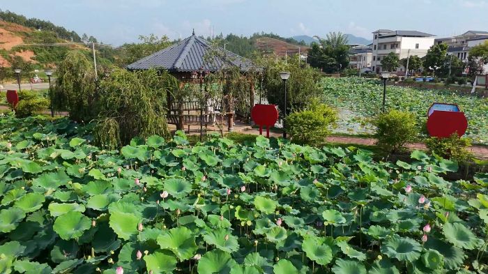 �V�|���g������W�W�����Ą�IP���󼤻�G���P���l�}���OӋ�����\ɏɏ��������ľ�͡��x���l�����B�����ں�