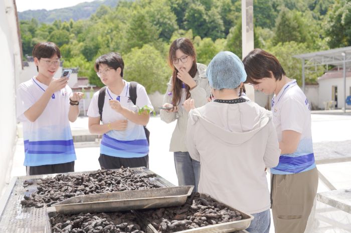 ���ʰl�����`�F�w򞡰�����ŕ񡱹�ˇ