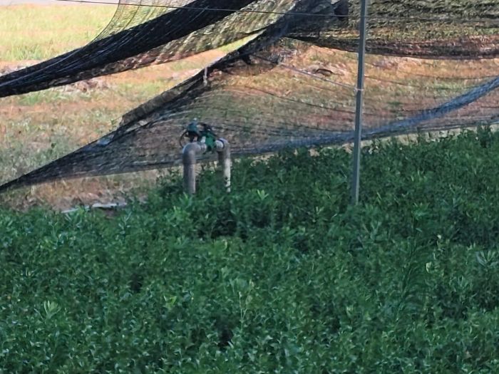 �����r�ֿƼ���W���܌WԺ���������������ǡ��ݡ�����������`�F�_չ�{�л��