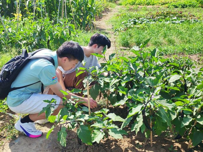 ���Gɫ���W�����r�d�I�� ������_չ�����l���`�����o�l��ˮ����ȫ