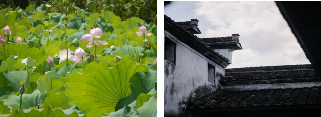 �����ͨ����}�j���Ŵ埨�l�r�����C