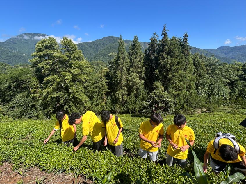 ��Ǽ�L���ꡱ���`ꠣ� ָ��X�¾G���ǻ۝���@