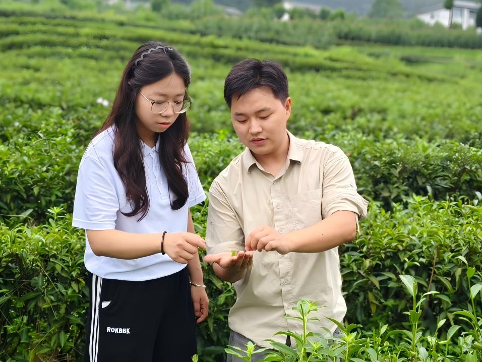 ��a�a(ch��n)�I(y��)�ںϵ��l(xi��ng)�����d�ഺ���