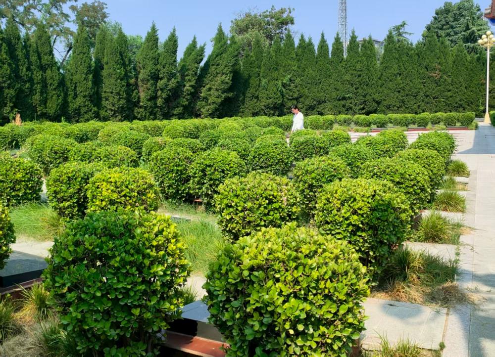 �s�m(x��)�tɫѪ�}������Ӣ�Ҿ���