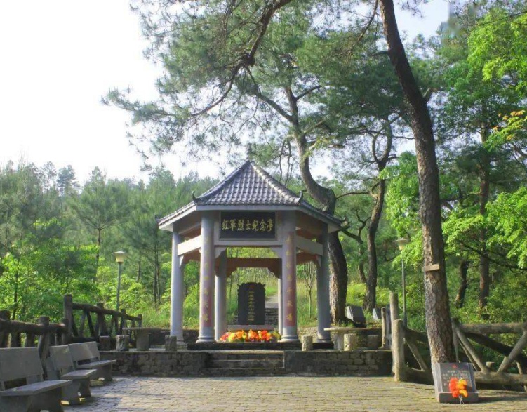 ����ϵ������s������ؔ����W�t�X���꠸�����a��ʮ�߿��ɡ�