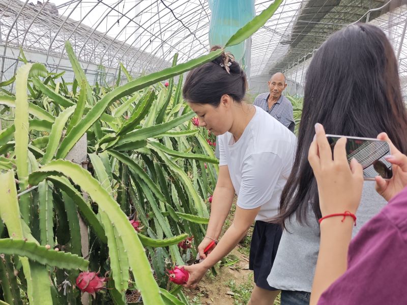 ԥ��Ҋ������������W��׃�����r����