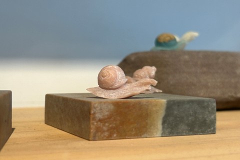 ����о������ �� ���L��о��; | �㽭���̴�W������`�F��Ԓ�S�lʯ������˺�ֲ��