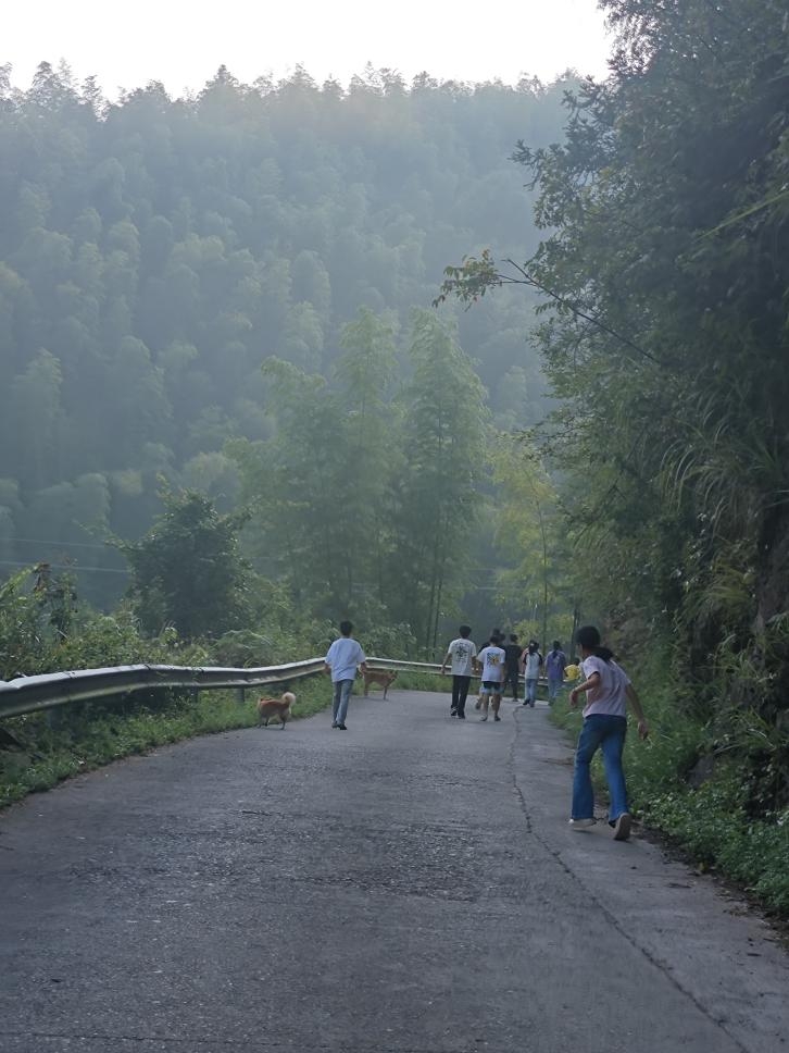 �m(x��)��֧�̾��ʣ����ϴ�W�̌WԺ����н�����������F�ڶ��ջ�ӳ䌍����