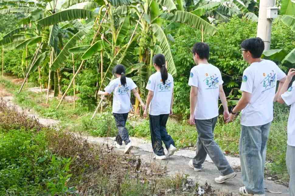 �����lҰ�g����ţ��Ӣ퍡��������d�V��ƪ��