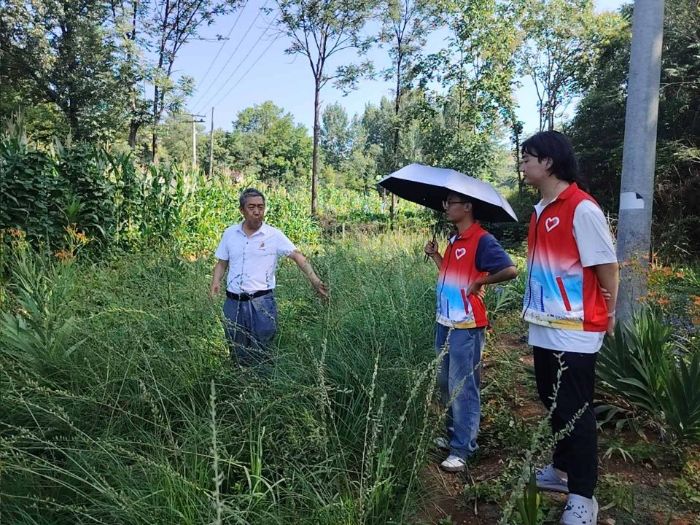 �GҰ��ˎ��ۙ���ഺ�x�������l(xi��ng)�����d