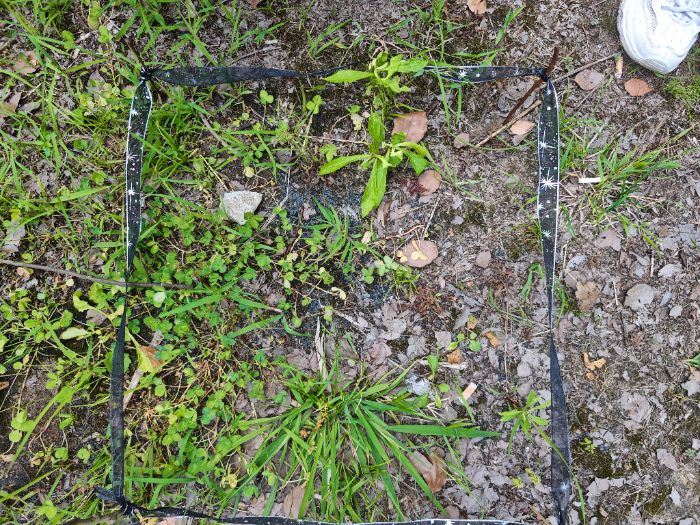 �Y�h�WԺ�������l������������`���f�︂�����G�L�ػ�