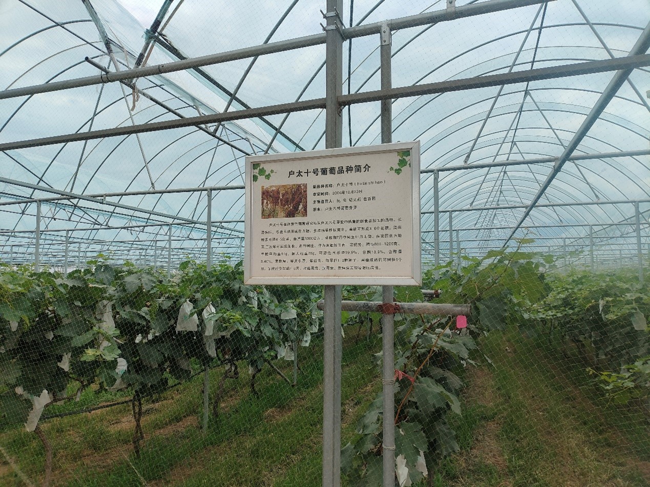 �����������؎X �ǻ��x�ܟ���� ���������]늴�W���㳯���Ѯa�I�@�_չ�����l���`���