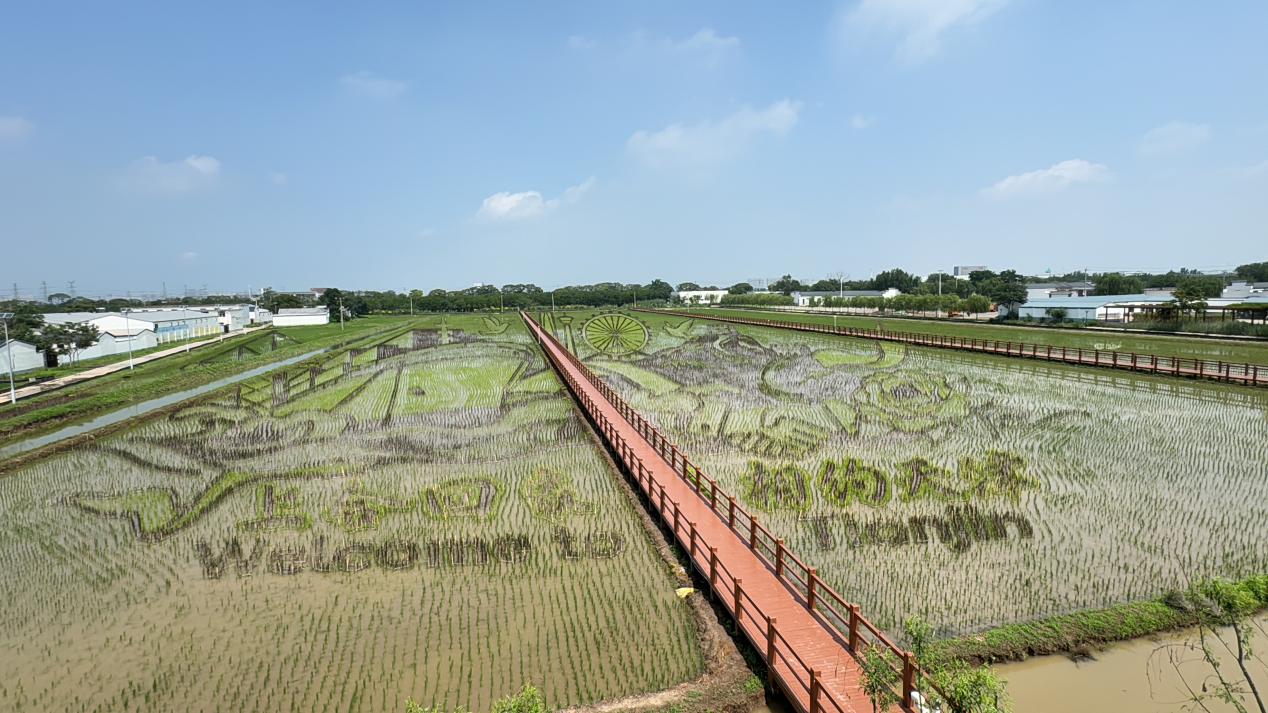 Сվ�����h�f�ң�׌������fԒ�������ϕ��^���cȼ�l�����ßᳱ