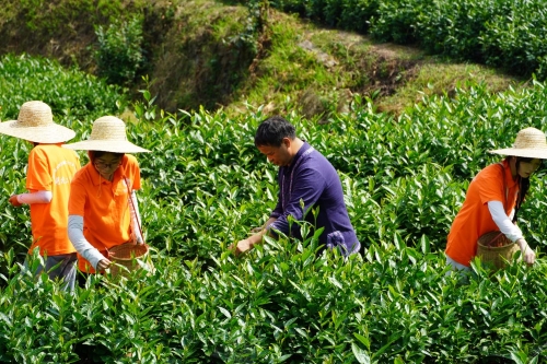 �ഺ��Ҋ���z�����Ϲ��̴�W(xu��)�W(xu��)��̽�ع���ë��ǧ�����