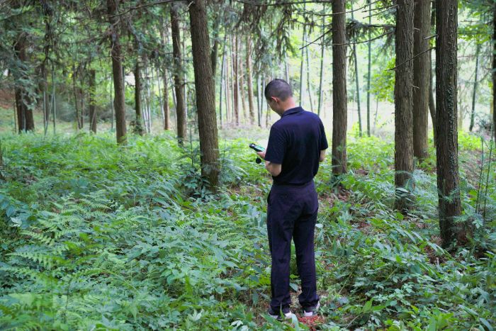 �������tˎ��W��ꖡ������l���Įa�I���d�°l�F